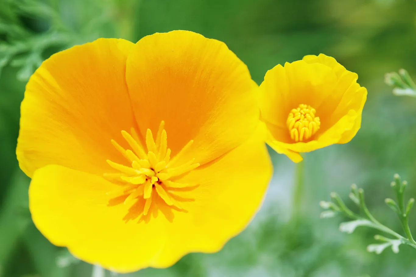 東広島市／60代女性